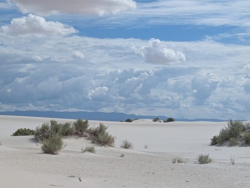 WSNP Dunes WSNP Dunes